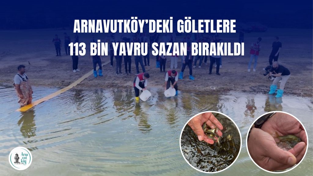 Arnavutköy’deki Göletlere 113 Bin Yavru Sazan Bırakıldı