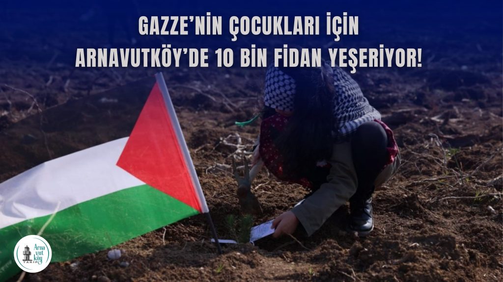 Arnavutköy’den Gazze’ye Can Suyu: 10 Bin Fidan “Hayat Ormanı”nda Yeşerecek