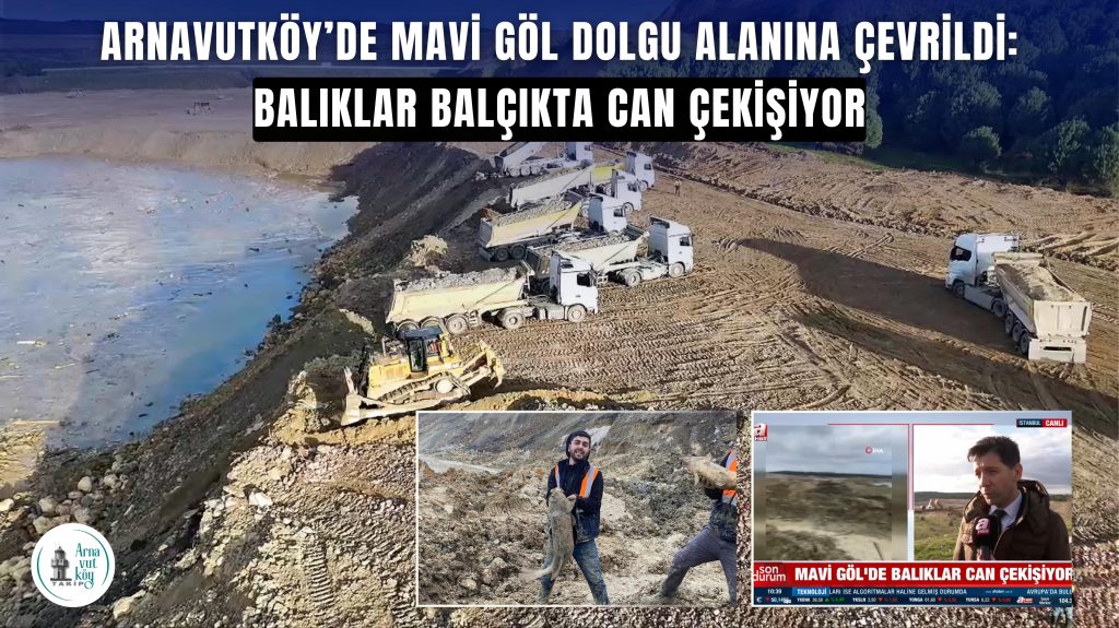 Arnavutköy’de Mavi Göl dolgu alanına çevrildi: Balıklar balçıkta can çekişiyor