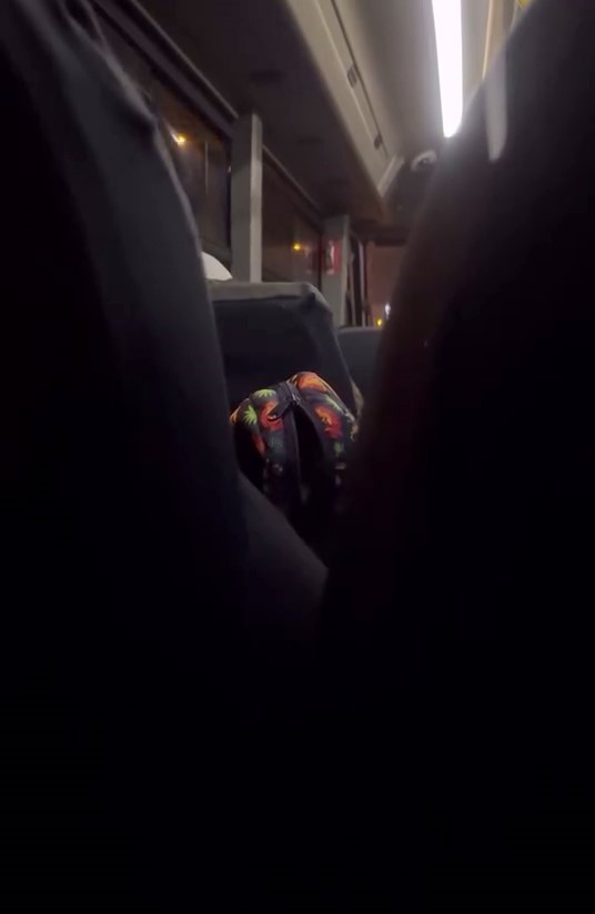 Arnavutköy’de minibüs şoföründen skandal sözler