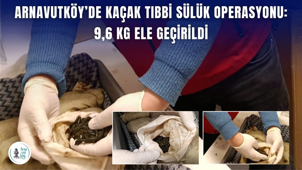 Arnavutköy’de Kaçak Tıbbi Sülük Operasyonu: 9,6 kg Ele Geçirildi