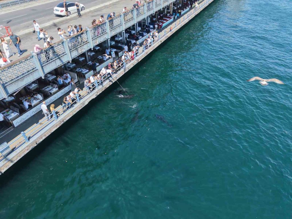 Boğazın devleri Eminönü kıyısında