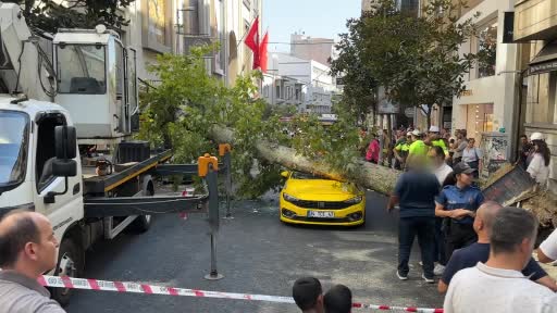 Nişantaşı’nda çınar ağacı iki aracın üzerine devrildi