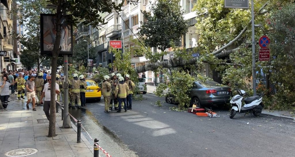 Nişantaşı’nda çınar ağacı iki aracın üzerine devrildi