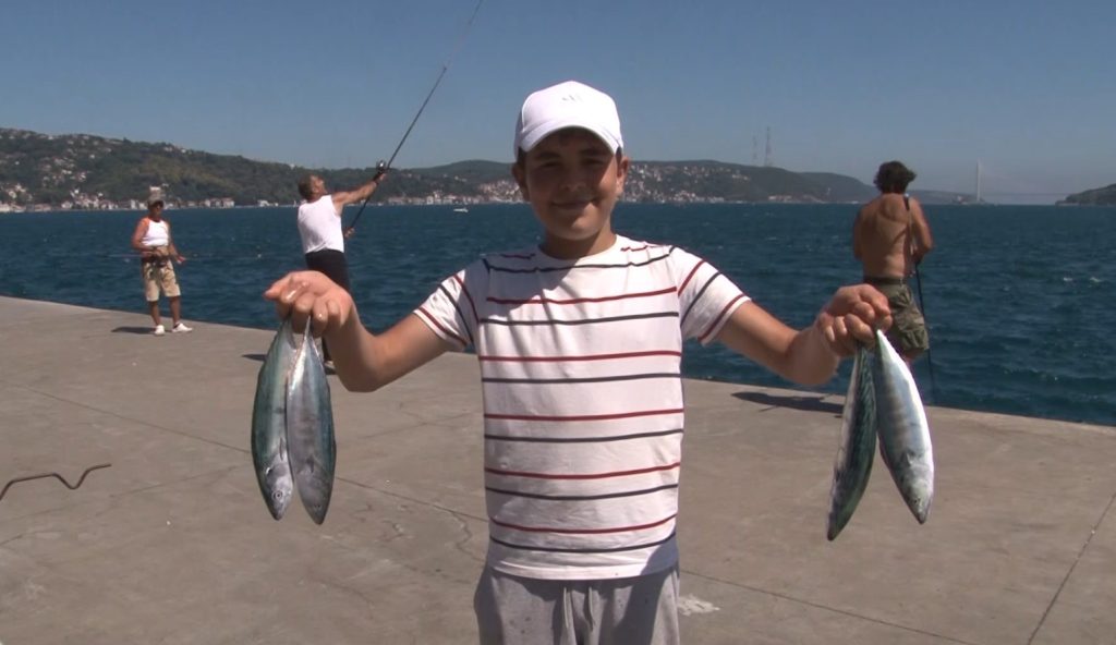 Sarıyer sahilinde palamut bolluğu: Oltasını alan sahile koştu
