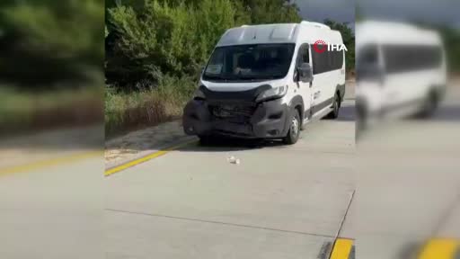 Silivri’de panelvan aracın çarptığı yaban domuzu telef oldu