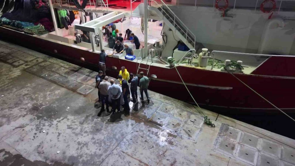 Av yasağının bitmesiyle İstanbul’da sezonun ilk balıkları bu gece avlandı
